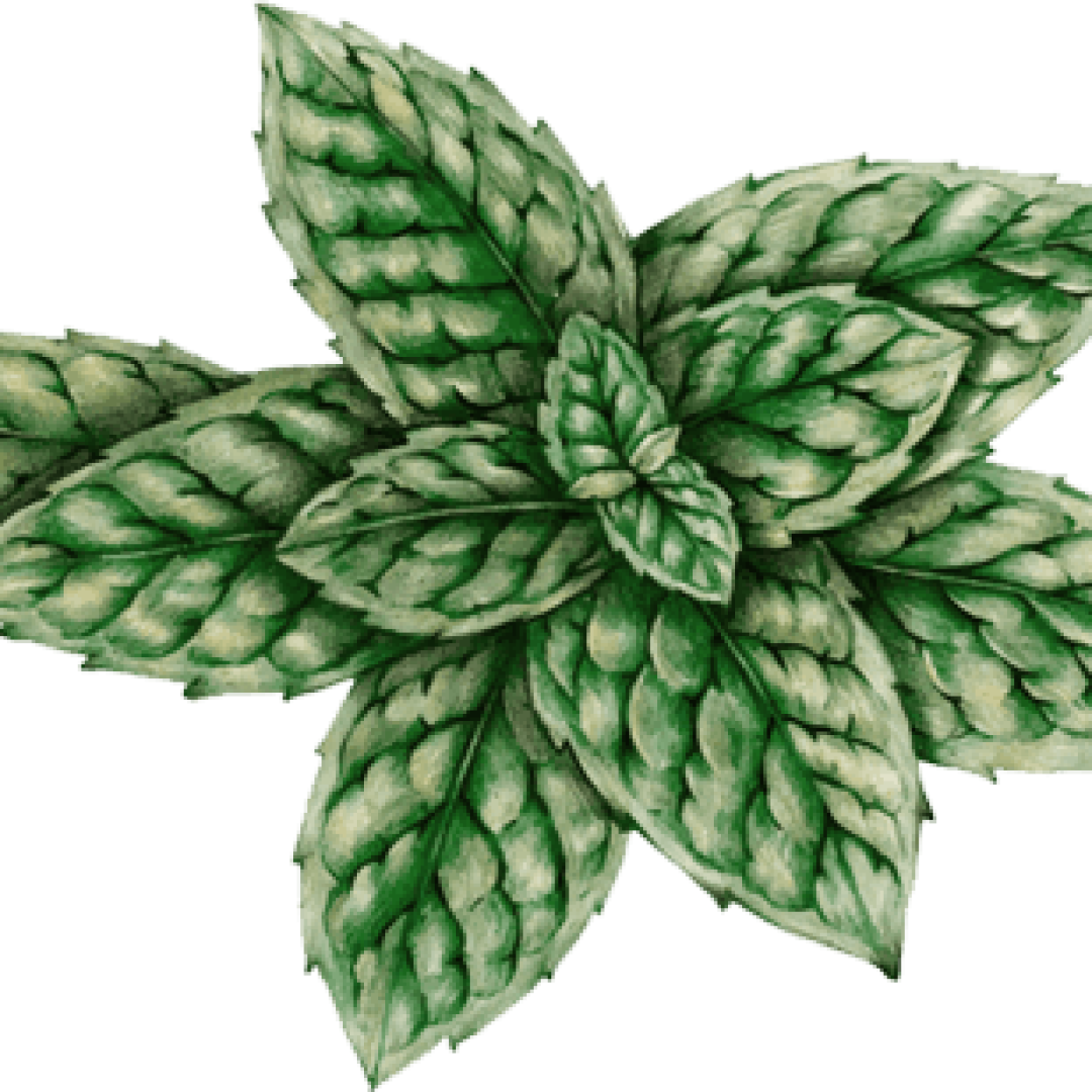 tealeaves.png